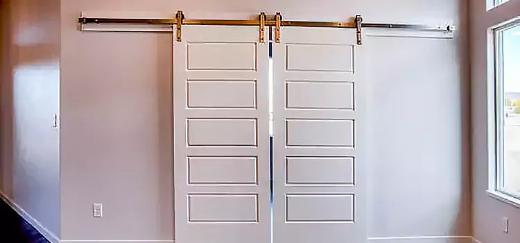 Glass Barn Door with Installation Hardware Kit Pampa